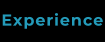 Experience